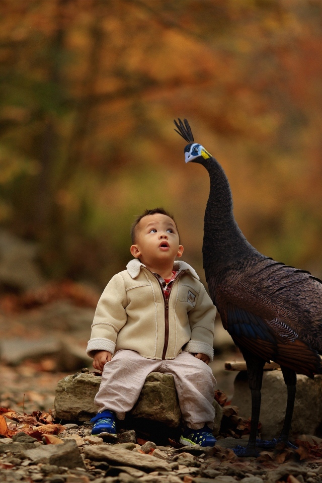 Мальчик с павлином в парке