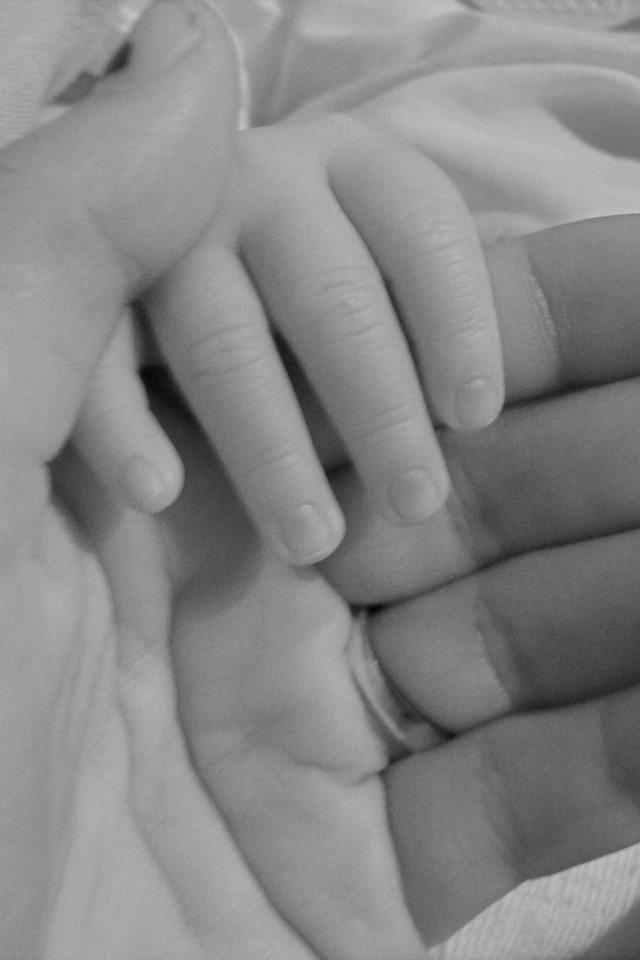 Рука ребенка в руке мамы