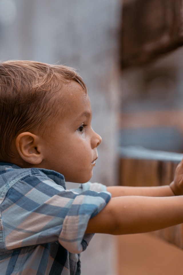 Любопытный мальчик в рубашке