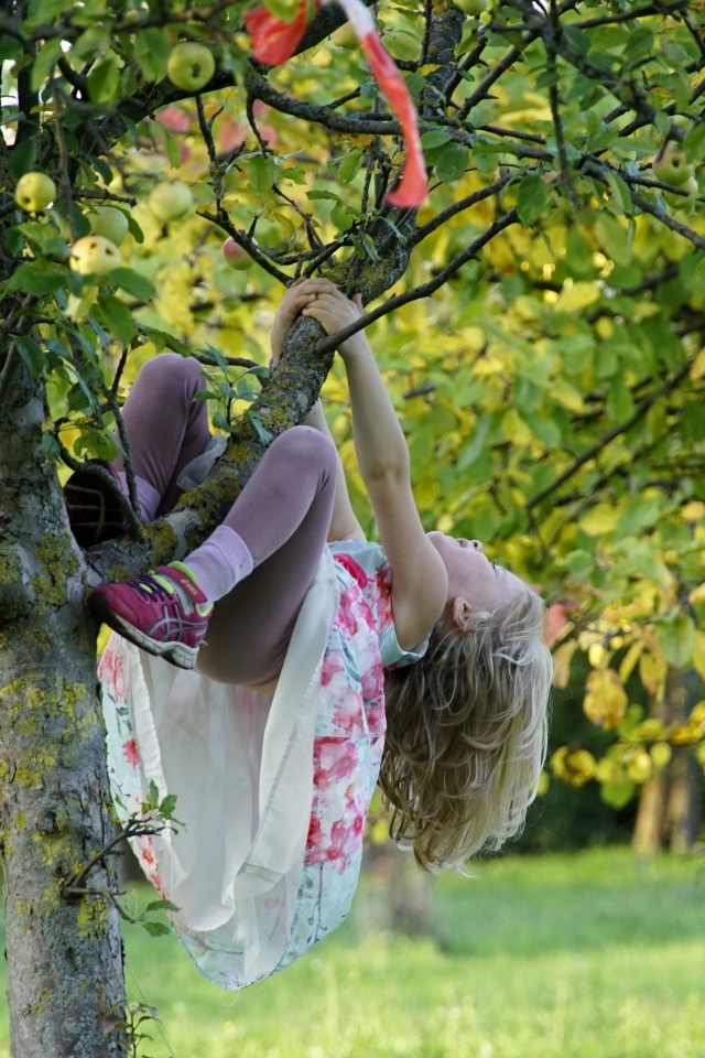 Девочка висит на дереве с яблоками