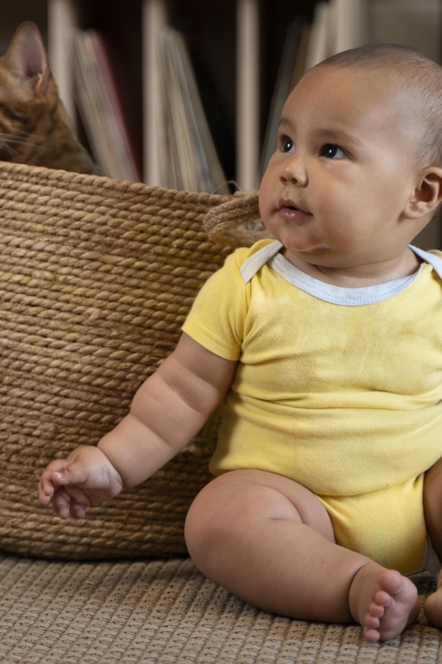 Маленький забавный ребенок с котом в корзине