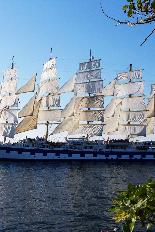 Большой корабль под белыми парусами 