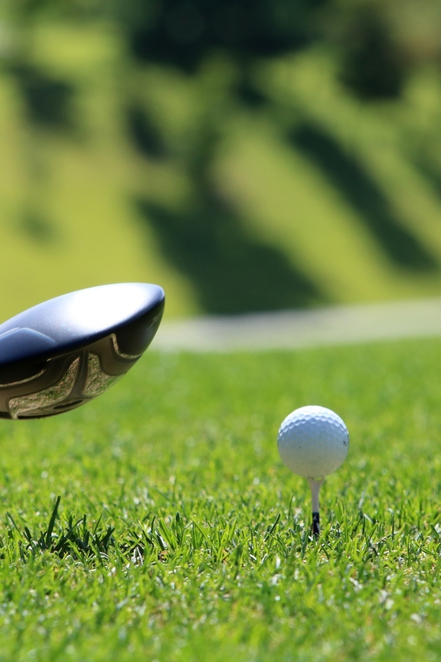 Мяч и клюшка для гольфа на зеленой траве