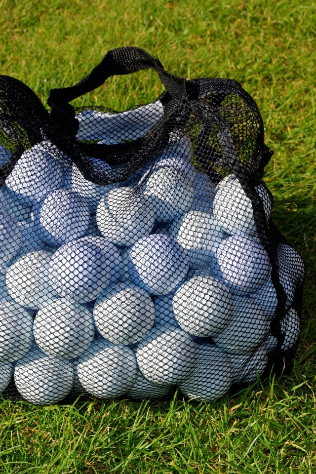 Сетка с мячами для гольфа на траве