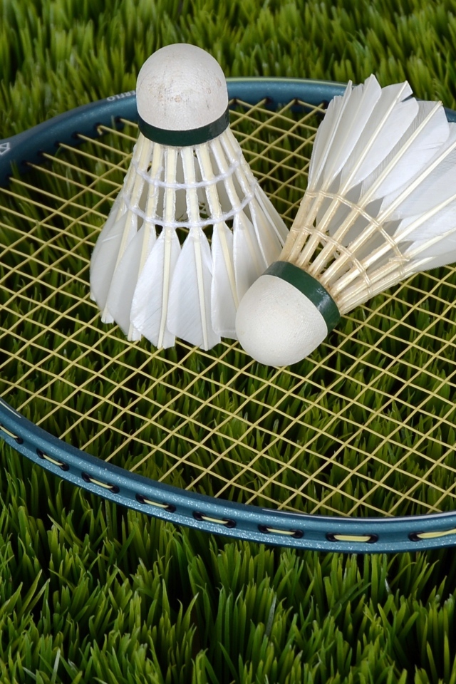 Ракетка и два волана для игры в бадминтон