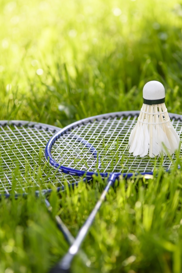 Две ракетки и воланчик для игры в бадминтон
