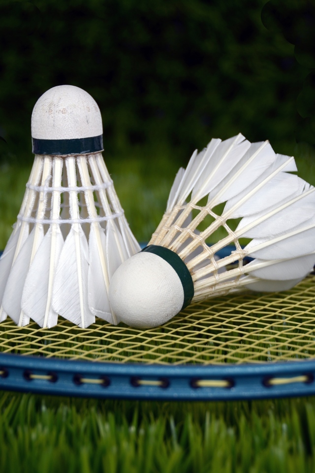 Два волана и ракетка для игры в бадминтон на траве