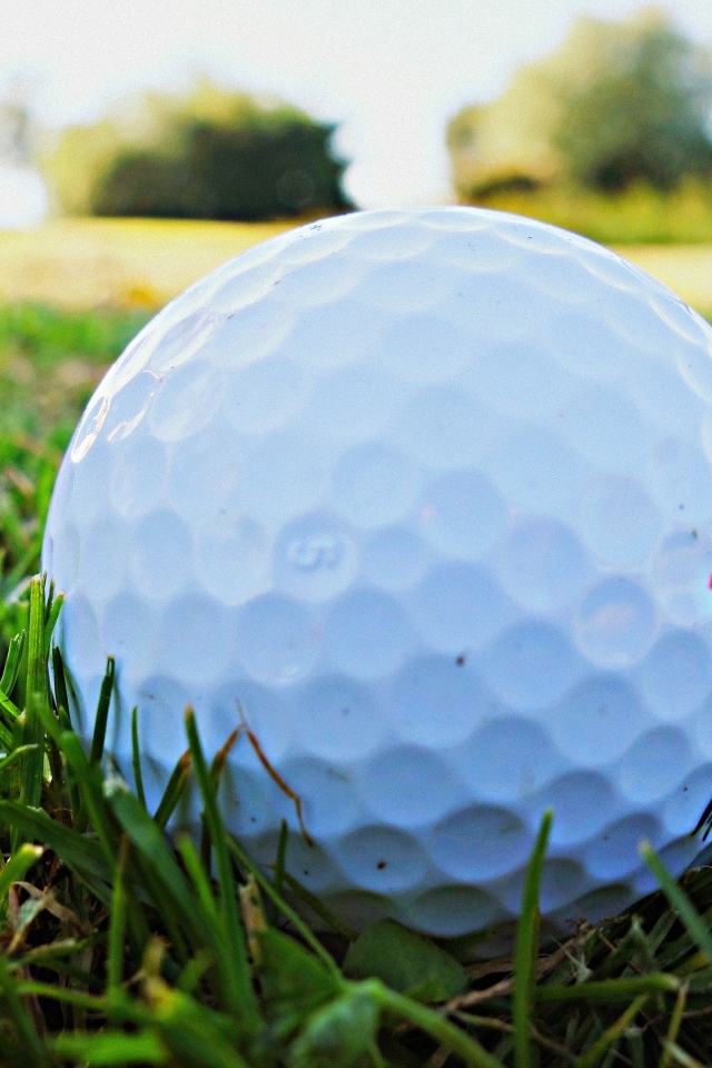 Белый мяч для гольфа в зеленой траве