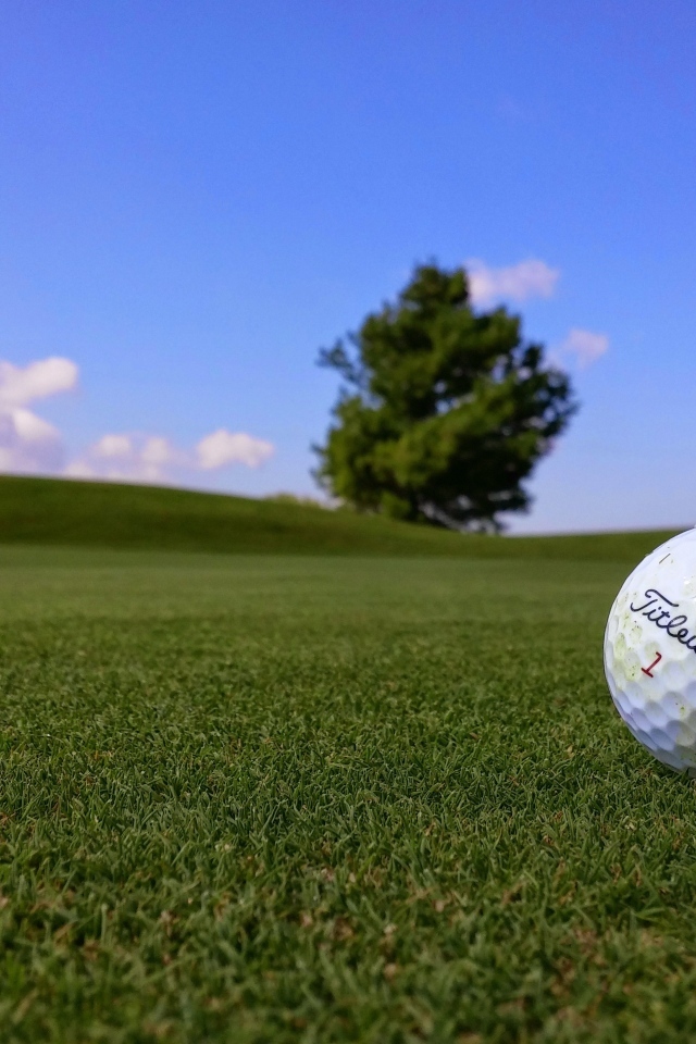 Белый мяч для гольфа на зеленой траве