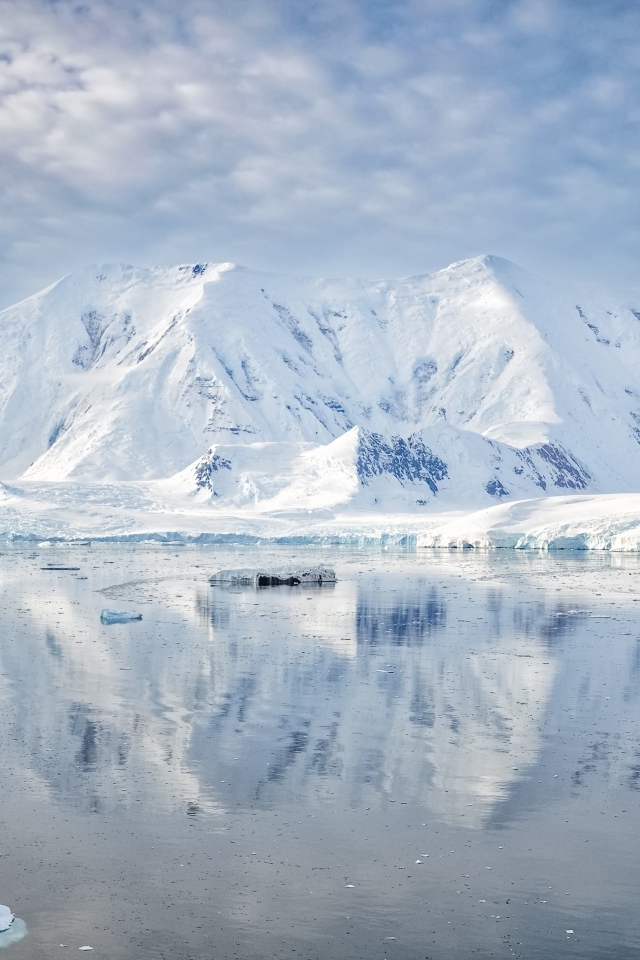 Заснеженные горы под белыми облаками у океана, Антарктида 