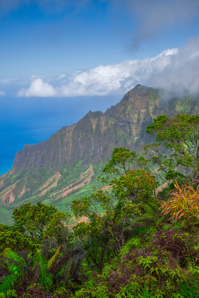 Покрытые зеленью горы на Гавайских островах, США