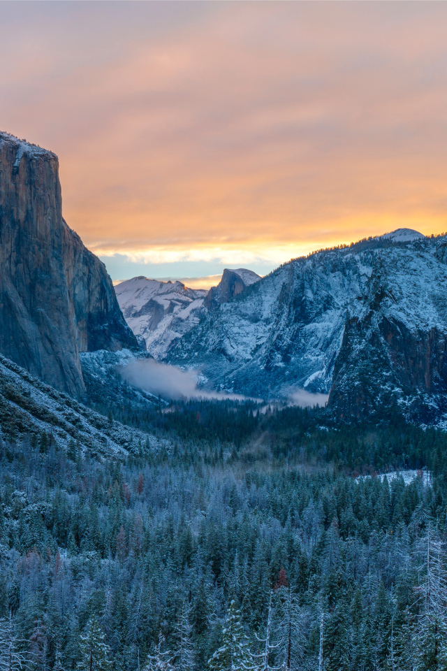 Вид на заснеженные горы и лес в национальном парке США