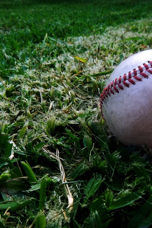 Мяч для бейсбола на траве 