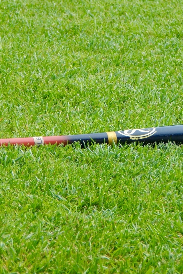 Бейсбольная бита на зеленой траве 