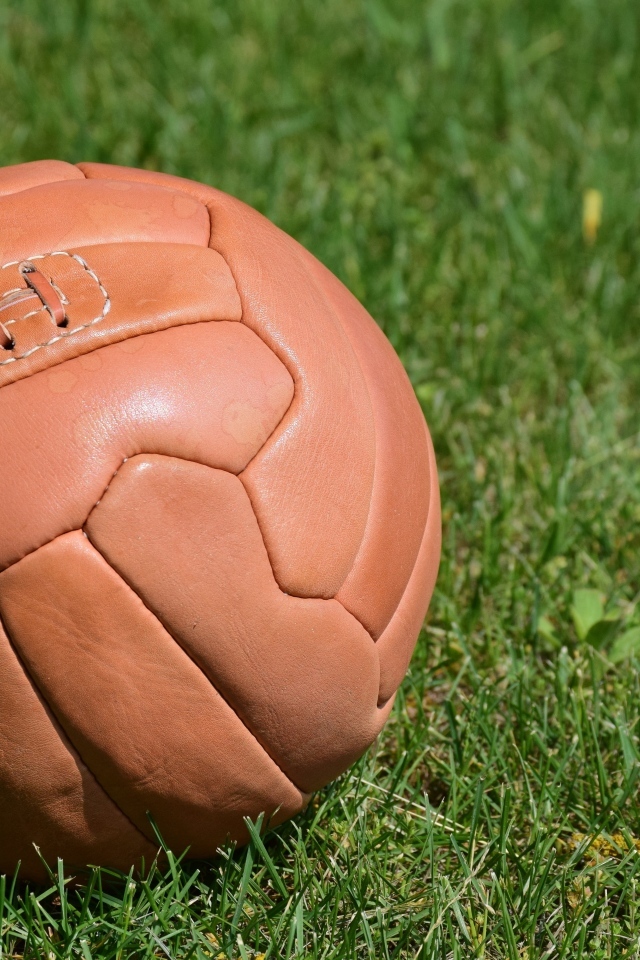 Коричневый кожаный мяч на зеленой траве 
