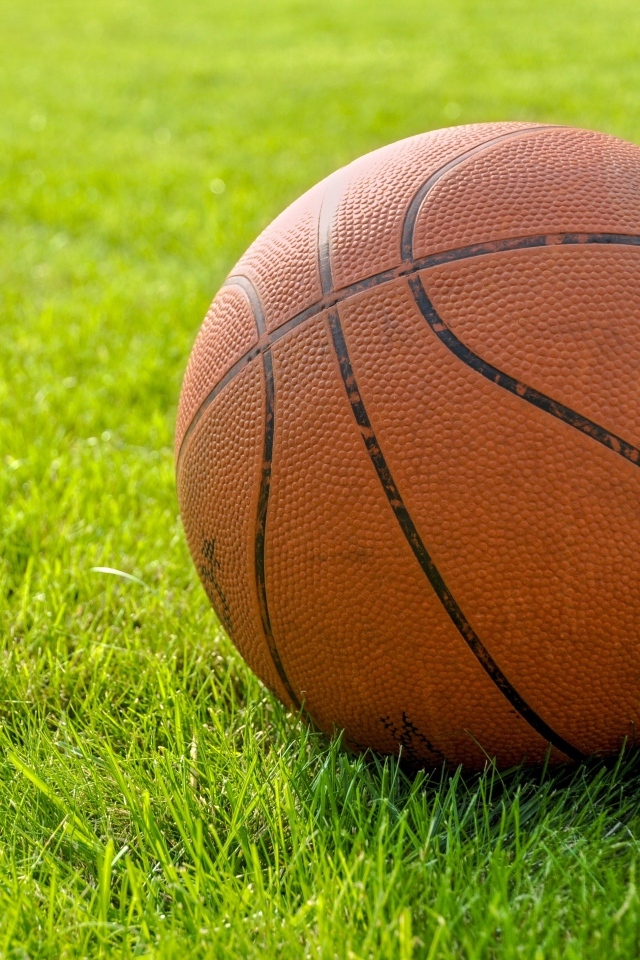 Коричневый кожаный баскетбольный мяч на зеленой траве