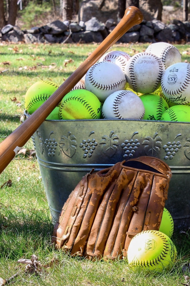 Ведро с бейсбольными мячами и битой