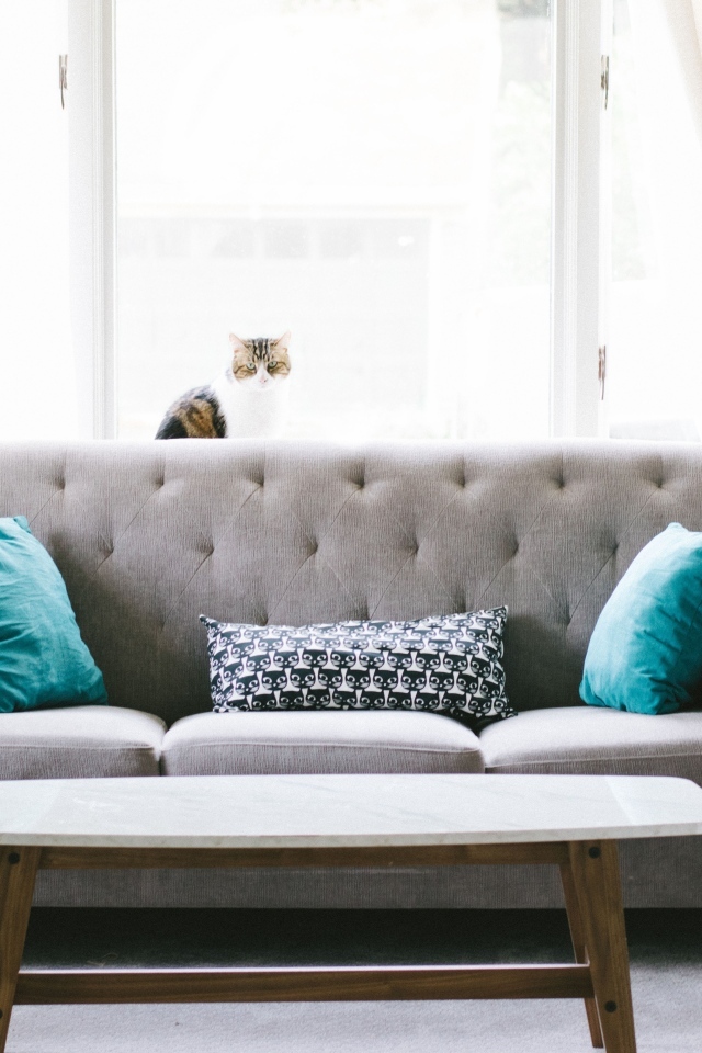 Серый диван с деревянным столом в комнате