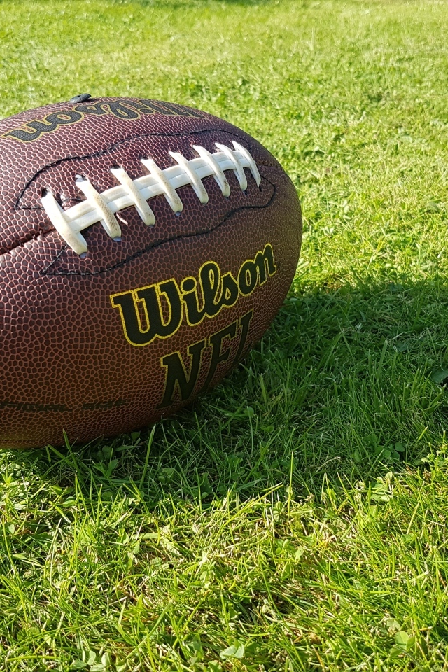 Кожаный мяч для американского футбола на зеленой траве