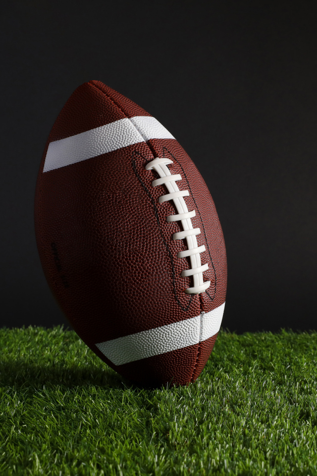 Новый кожаный мяч для американского футбола на траве