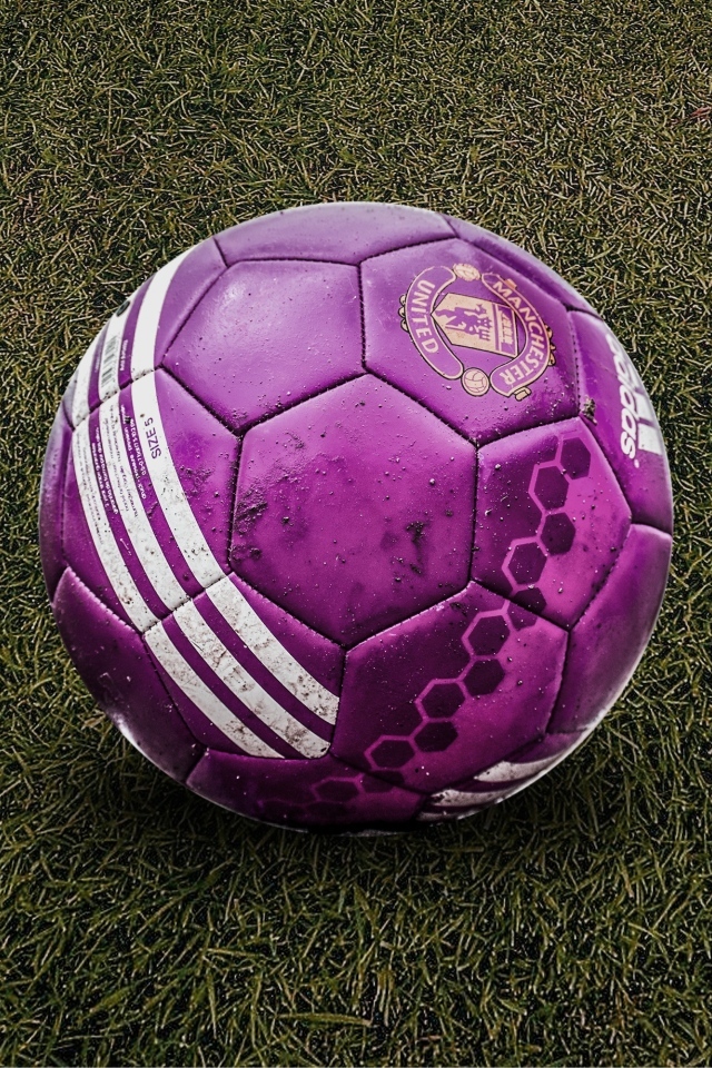 Фиолетовый футбольный мяч на траве