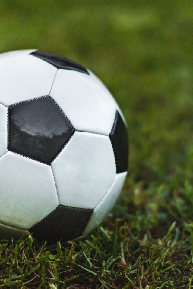 Футбольный мяч лежит на зеленой траве 