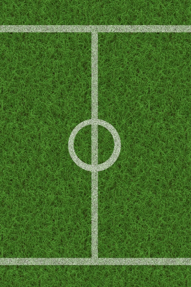 Поле расчерчено белыми линиями на зеленой траве