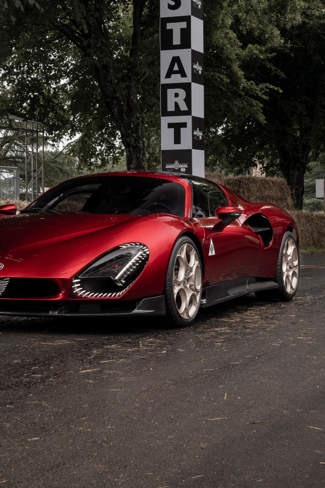 Красный автомобиль Alfa Romeo 33 Stradale