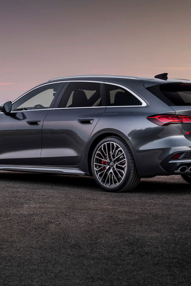 Вид сбоку на серый автомобиль Audi S5 Avant TFSI quattro 2024 года