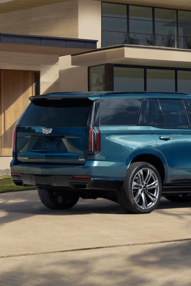 Синий внедорожник Cadillac Escalade 2025 года вид сзади