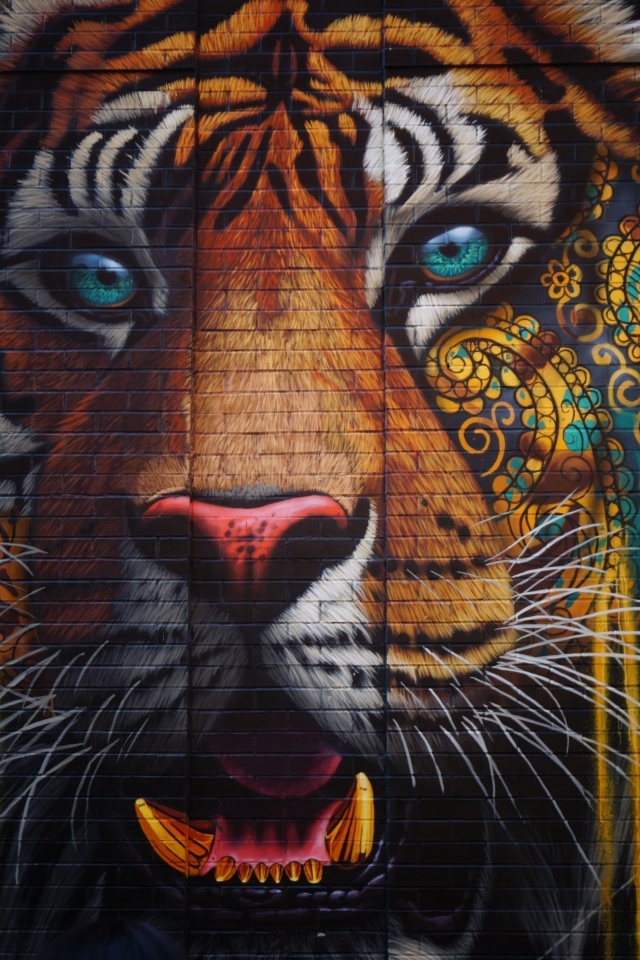 Нарисованное граффити тигра на стене