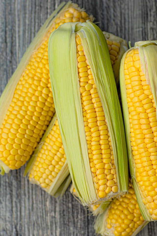 Початки кукурузы с листьями на сером столе