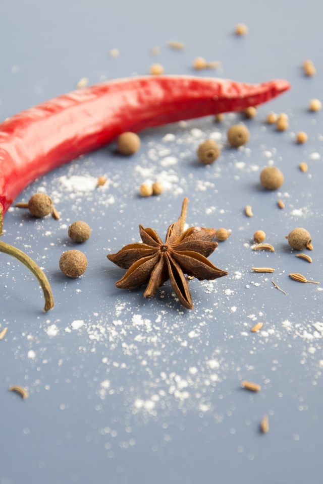 Острый красный перец с бадьяном на сером фоне