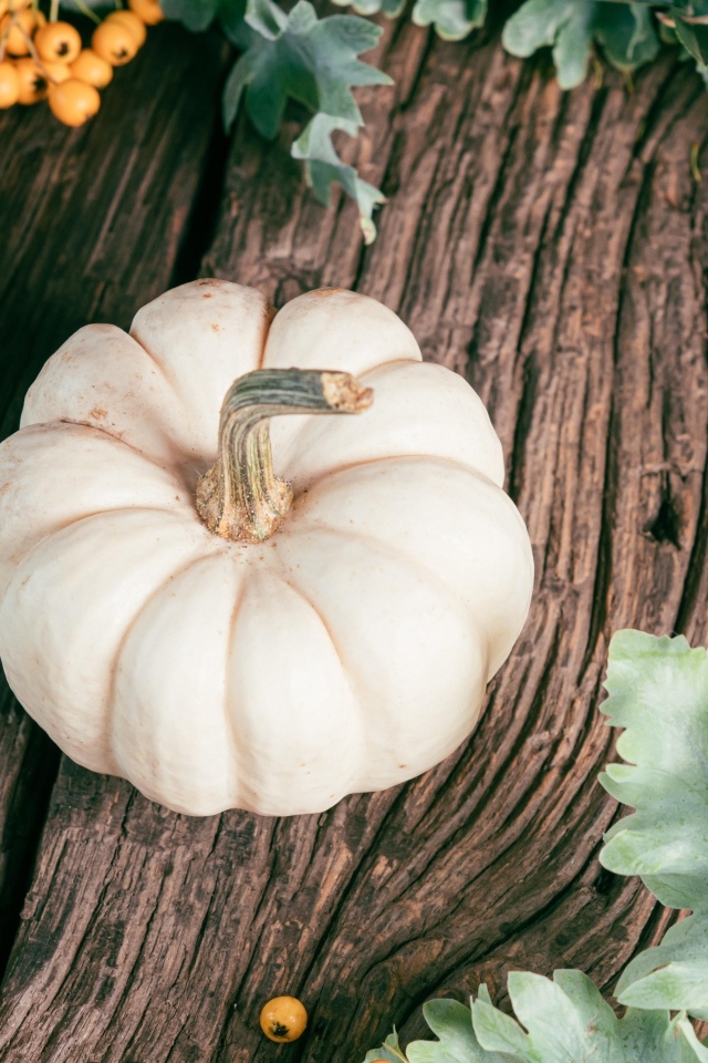 Тыква на столе с ягодами рябины