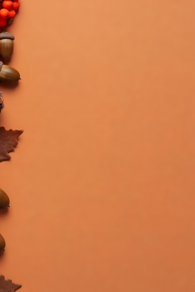 Тыквы с шишками на оранжевом фоне