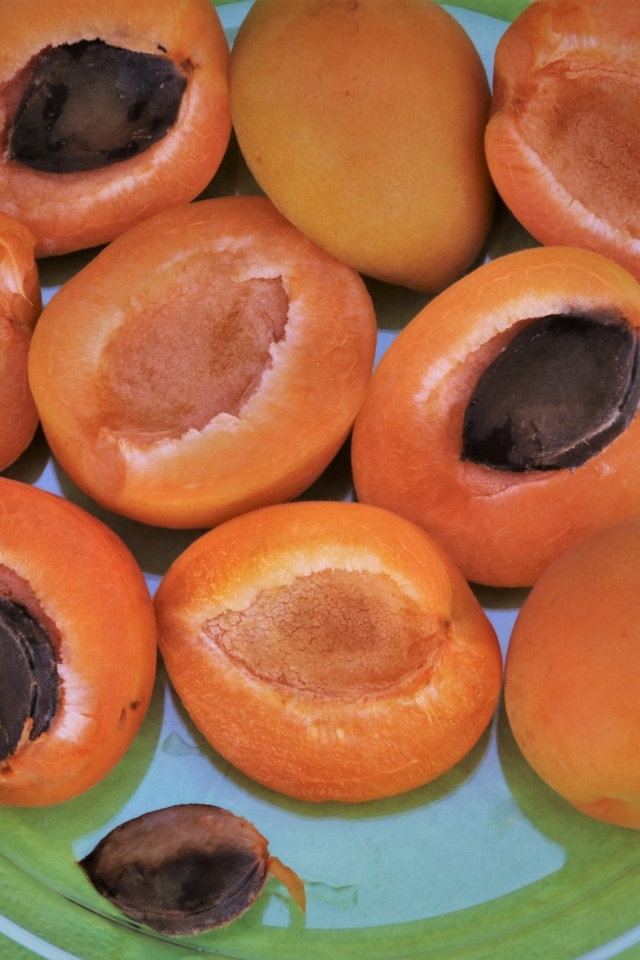 Абрикосы половинками на тарелке