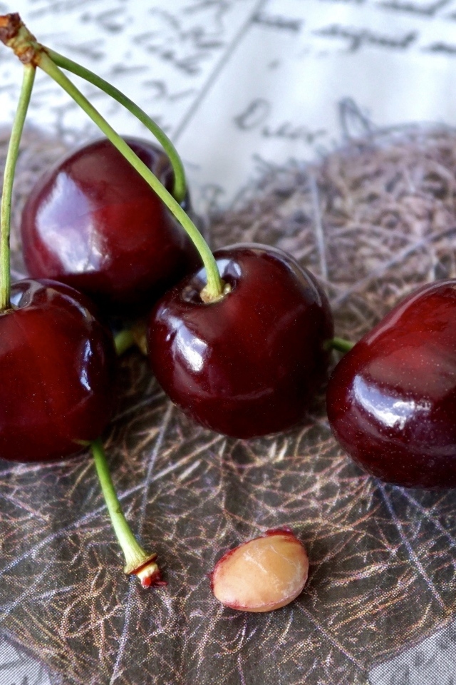 Красивые спелые красные черешни на столе