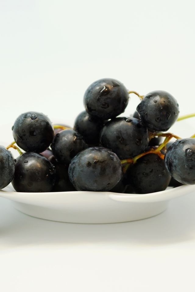 Гроздь синего винограда в тарелке на белом фоне