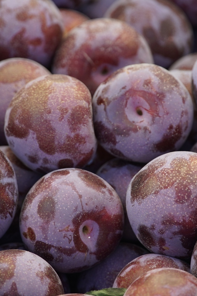 Много розовых слив крупным планом