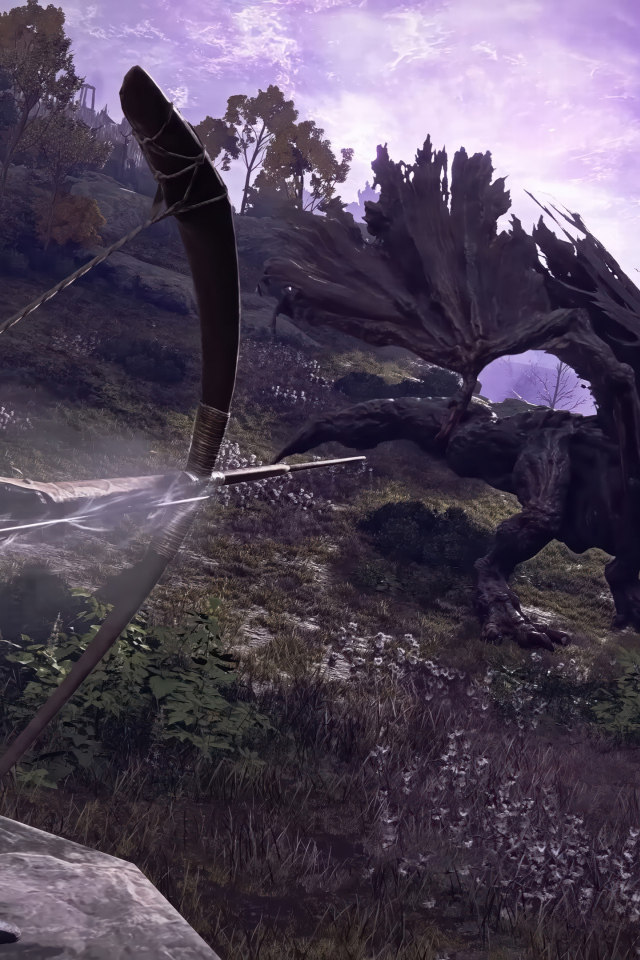 Битва с драконом в компьютерной игре Elden Ring Nightreign