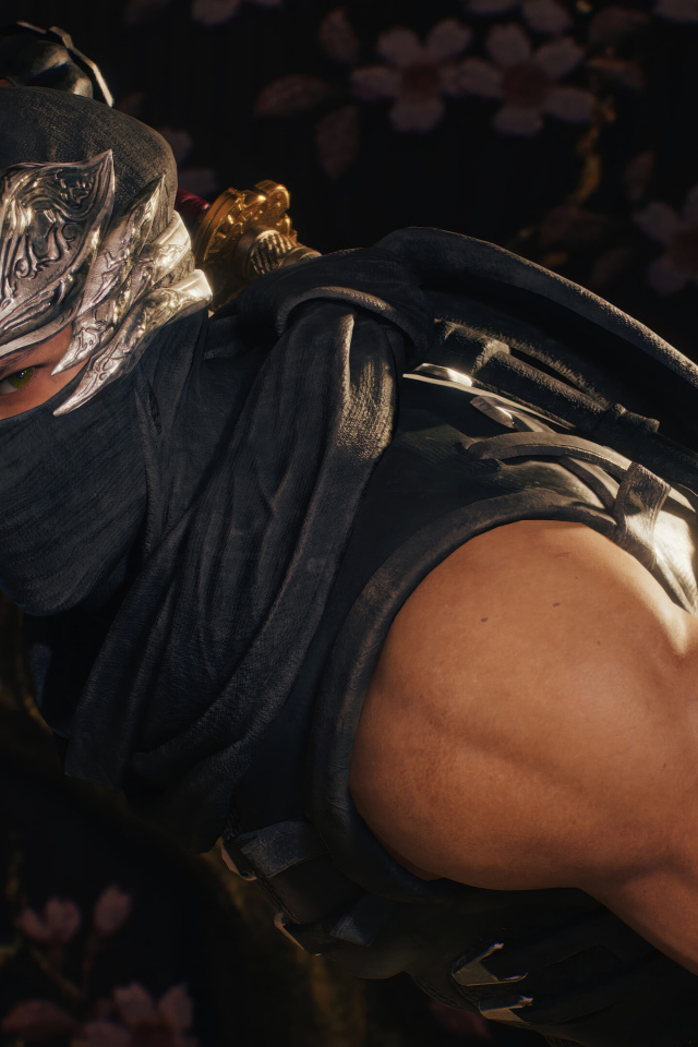 Воин в маске в новой компьютерной игре NINJA GAIDEN 2 Black