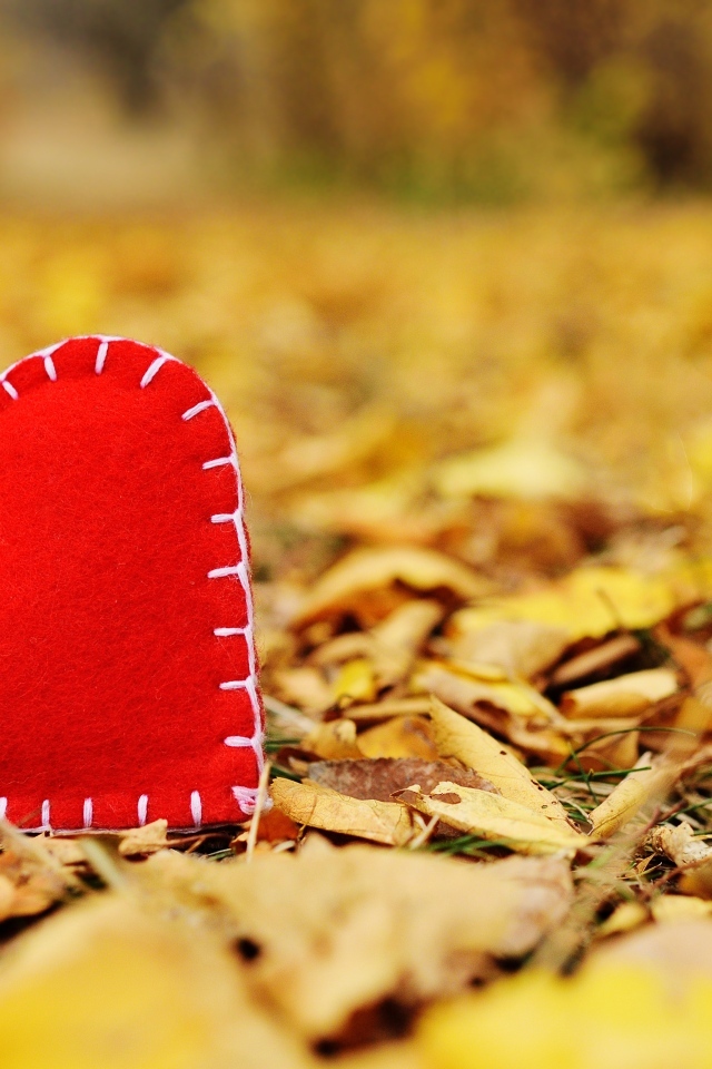 Красное тканевое сердце лежит на опавшей листве