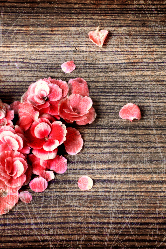 Сердце из цветов на деревянном фоне с царапинами