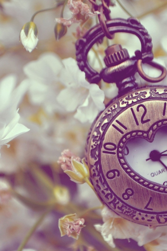 Карманные часы с вырезом в форме сердца