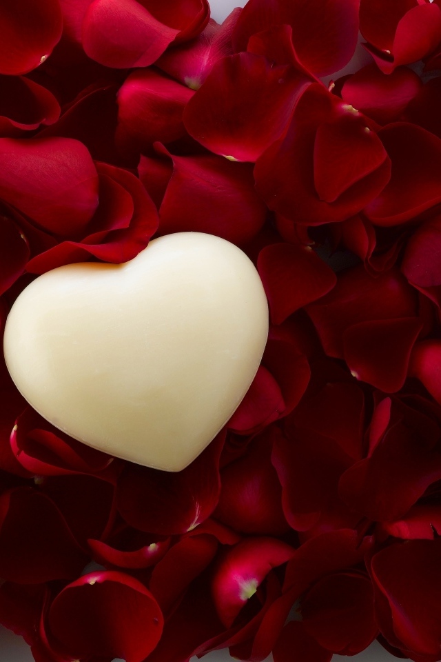 Белое сердце на красных лепестках розы