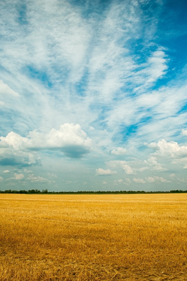 Красивые облака над полем пшеницы