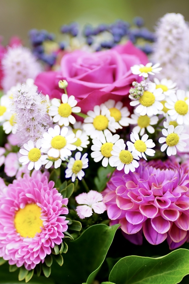 Красивый яркий букет осенних цветов