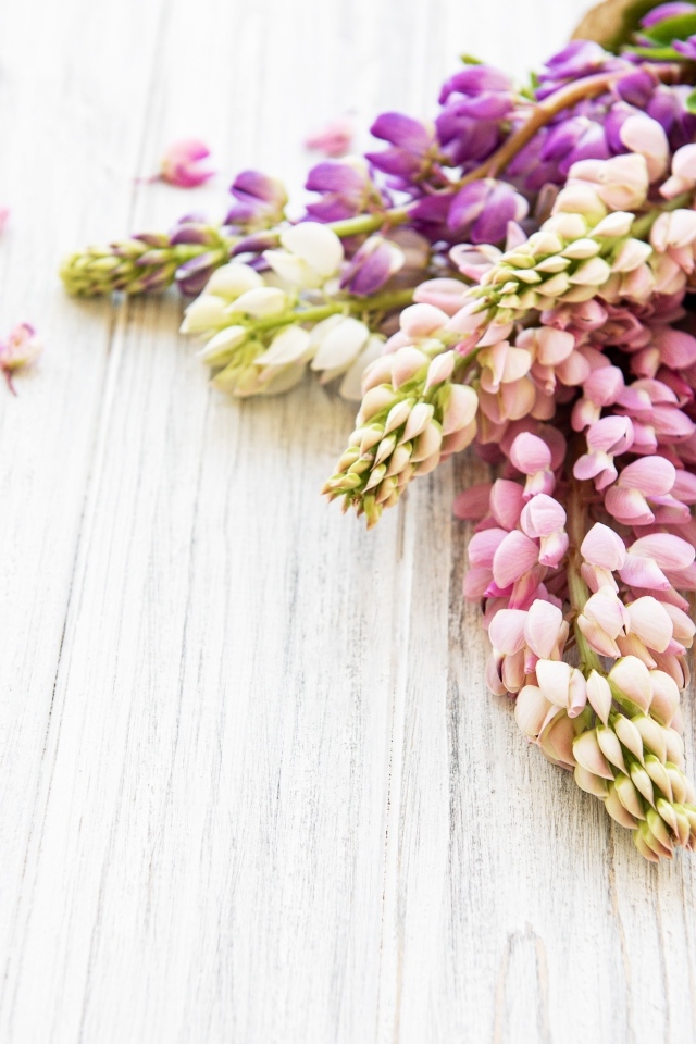 Букет люпинов на деревянном столе