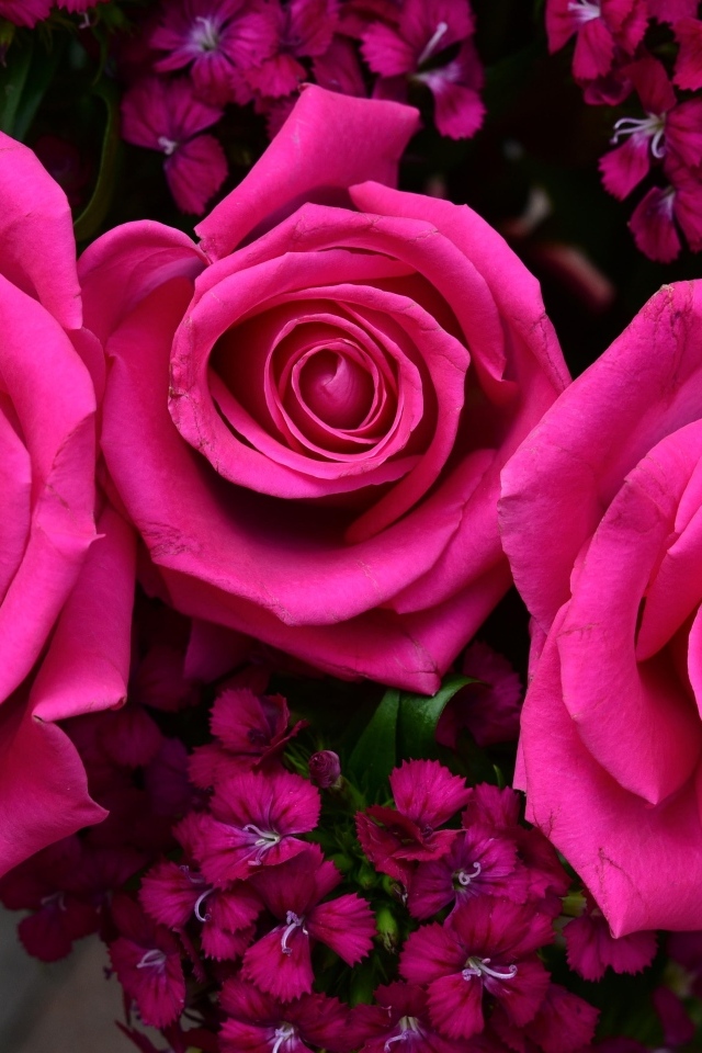 Букет розовых роз с гвоздикой