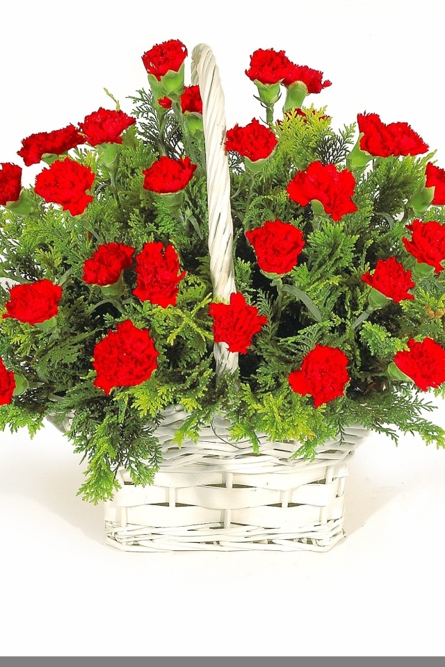 Букет красных гвоздик в корзине на белом фоне